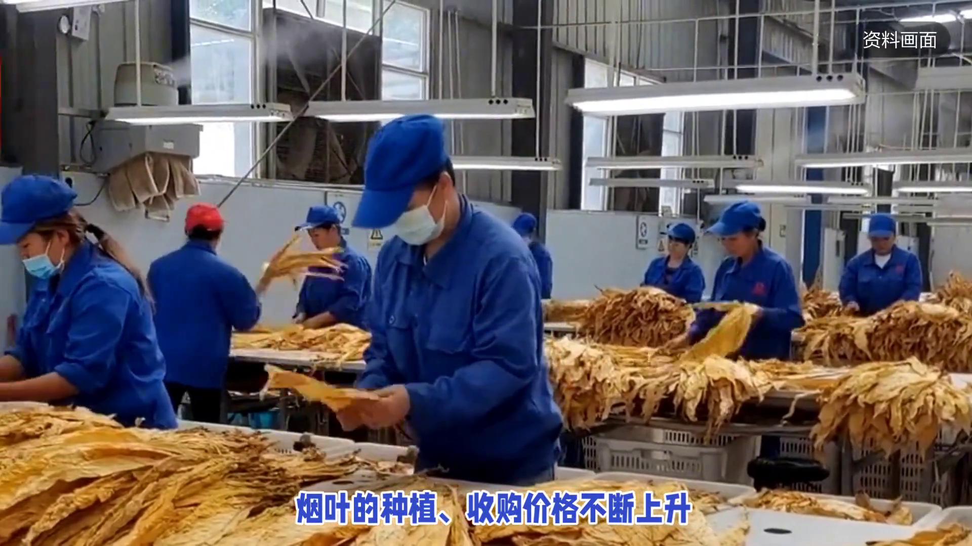 10元以下香烟，真的要再见了吗？