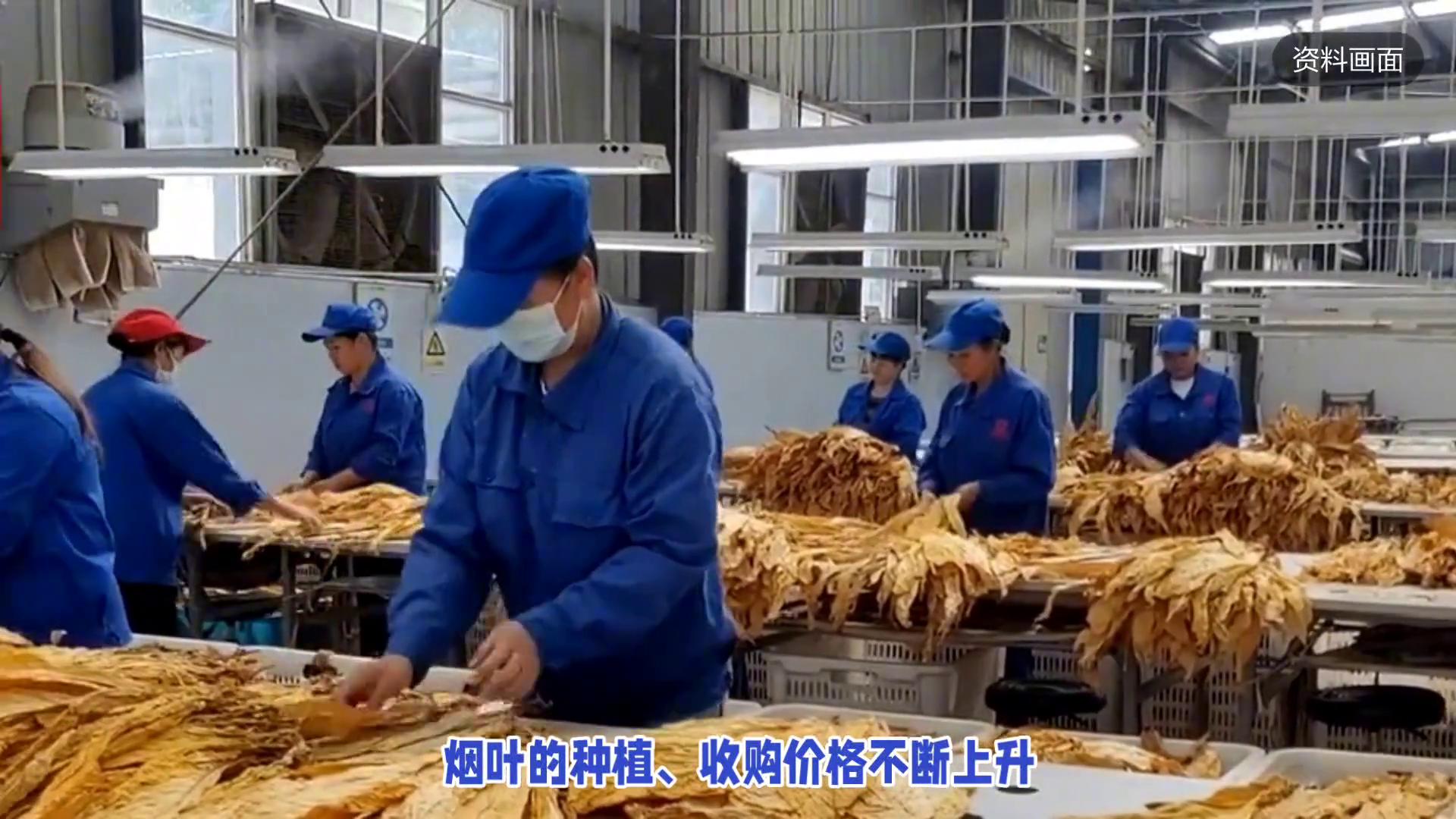 10元以下香烟，真的要再见了吗？