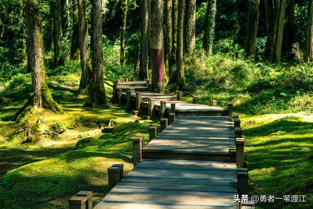 台湾环岛八天游，进了八次购物店……